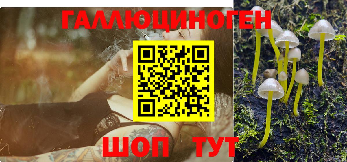 Псилоцибиновые грибы прущие грибы Отрадное